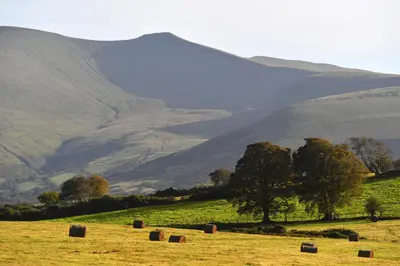 a field with hay bales in front of a mountain at Dragonfly Cottage, Canal location in Brecon