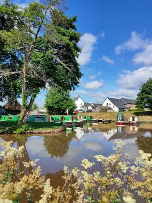 a body of water with a tree and boats at Bullrush Barn, Brecon Beacons walkers retreat in Brecon