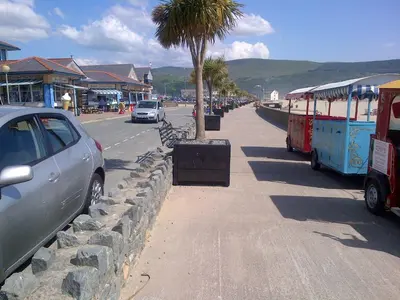 a palm tree on the side of a street at Tal Y Don Hotel in Barmouth