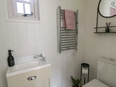 a bathroom with a sink and a mirror and a toilet at Dragonfly Shepherd's Hut in Aberaeron