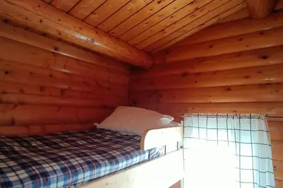 a bedroom with a bed in a wooden room at 299 Willow Lodge in Trawsfynydd