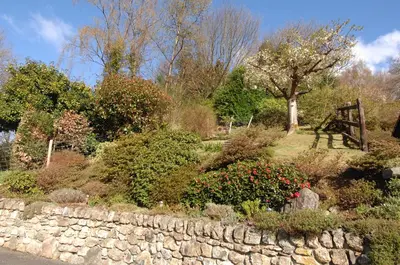 a garden with a stone wall and flowers and a gate at Dwy Olwyn in Dolgellau