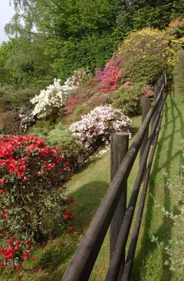 a wooden fence next to a garden of flowers at Dwy Olwyn in Dolgellau