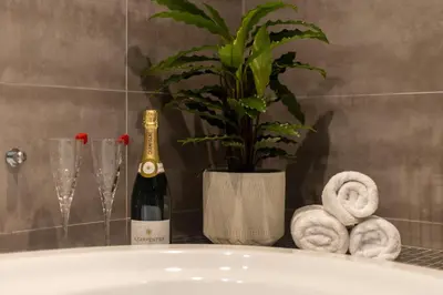 a bottle of champagne and a potted plant on a sink at Parc Y Deri in Aberystwyth