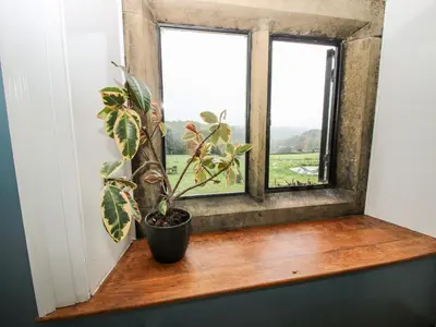 a potted plant sitting on a wooden window sill at Pentre Hall in Oswestry