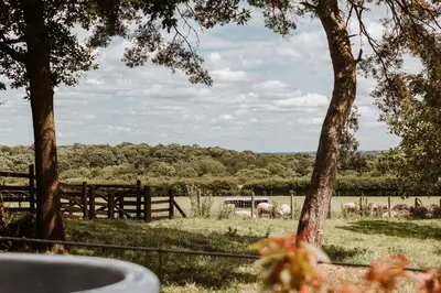 a herd of sheep grazing in a field behind a fence at Secluded Cosy Luxury Pod with wood fired hot tub in Shrewsbury