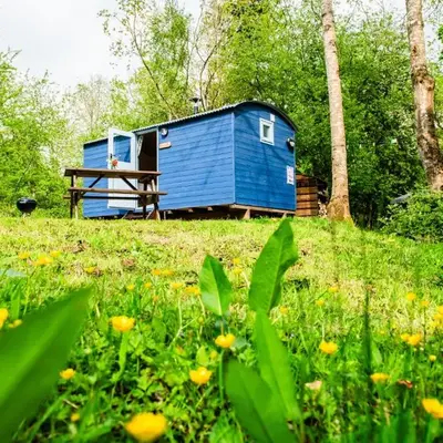Cosy Shepherd's Hut with Hot Tub