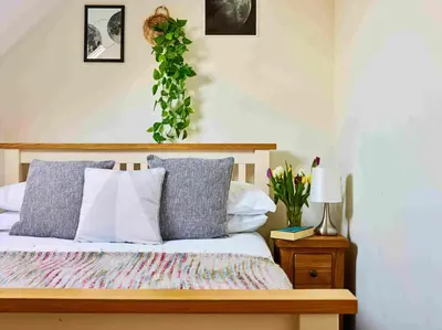 a bedroom with a bed with pillows and a plant at Llysfaen Cottage in Brecon