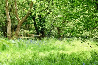 a bench sitting in the middle of a field at The Orient Express Shepherd's Hut with Hot Tub in Brecon