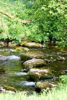 a stream with rocks in the middle of a river at The Mallard Shepherd's Hut with Hot Tub in Brecon