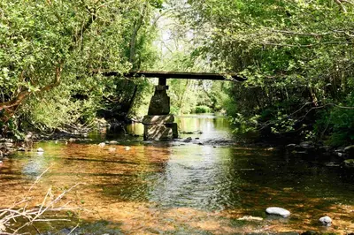 a bridge over a river in a forest at The Mallard Shepherd's Hut with Hot Tub in Brecon