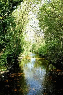 a river with trees on the side of it at The Mallard Shepherd's Hut with Hot Tub in Brecon