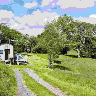 The Mallard Shepherd's Hut with Hot Tub
