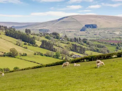 a group of animals grazing on a green field at 2 Bed in Brecon oc-bn310 in Cray