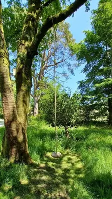 a tree with a pole in the middle of a field at Cae Tudur Remote Rural Cottage near Barmouth in Barmouth