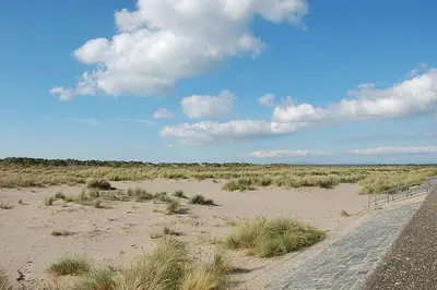a beach with a fence and a field of sand at Hafan Y Traeth Beach Front Apartment in Barmouth in Barmouth