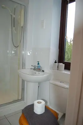 a bathroom with a sink and a toilet and a shower at Ty Pen y Bryn in Dolgellau in Dolgellau