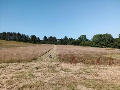 a field with a dirt road in the middle at 1 Bed in Llanybydder oc-81354 in Llanwenog