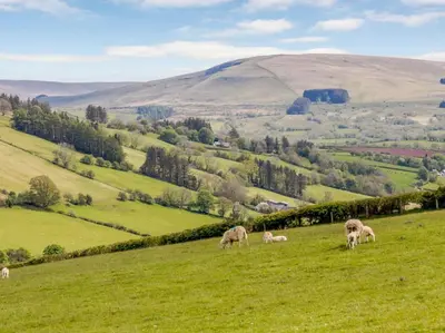 a group of animals grazing on a green field at 2 Bed in Brecon oc-bn100 in Cray