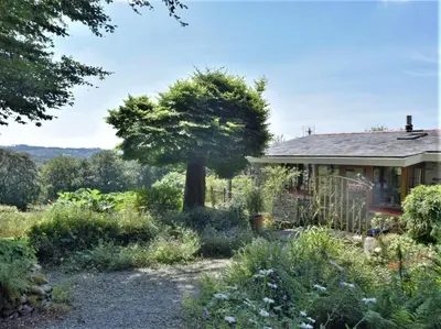 a garden in front of a house with a tree at 1 Bed in Lampeter oc-43288 in Tregaron