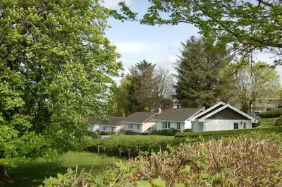 a group of houses in a yard with trees at Hafan Y Talgarth bungalow at Plas Talgarth resort in Pennal