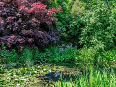 a garden with trees and a pond with water lilies at 1 Bed in Clyro BN290 in Clyro