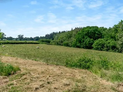 a field of grass with sheep grazing in the distance at 1 Bed in Clyro BN290 in Clyro