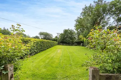 a large grassy yard with bushes and trees at Pultheley Cottage in Montgomery