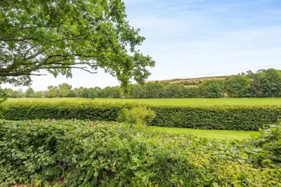 a hedge garden with a field in the background at Pultheley Cottage in Montgomery