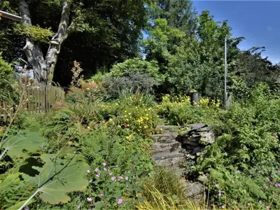 a garden with a bunch of plants and flowers at 2 Bed in Lampeter oc-43293 in Tregaron