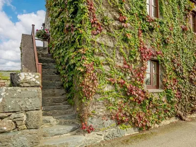 an ivy covered building with stairs going up it at 1 Bed in Dyffryn Ardudwy oc-89395 in Dyffryn