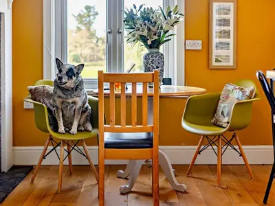 a dog sitting on a chair in a dining room at 4 Bed in Friog 42772 in Fairbourne
