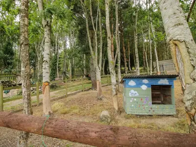 a dog house in the middle of a forest at The Pod in Shrewsbury