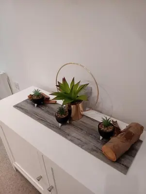 a shelf with potted plants on a white table at The Old Fire Station in Tregaron