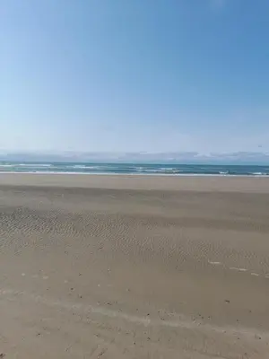 an empty beach with the ocean in the background at The Old Fire Station in Tregaron