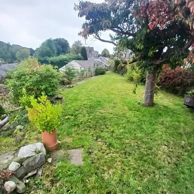 a yard with some plants and a tree at The Old Fire Station in Tregaron