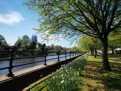 a fence next to a river with flowers at Rhif Deg in Brecon