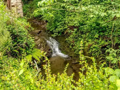 a stream of water in the middle of a forest at 3 Bed in Clyro 88077 in Clyro