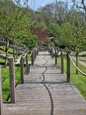 a wooden walkway with a fence and trees at Mountain Edge Resort Lodge 1 with Hot Tub in Church Stretton