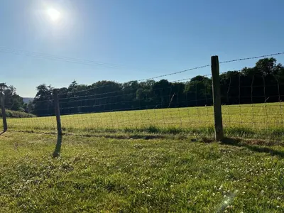 a fence in the middle of a field at Heavenly Retreat in Lampeter