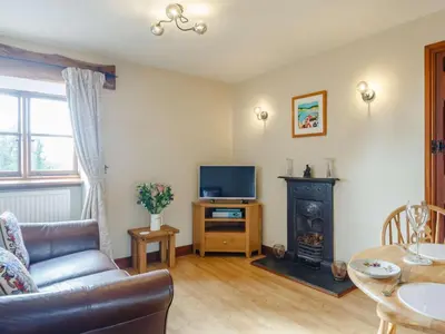 a living room with a couch and a tv and a fireplace at 1 Bed in Dyffryn Ardudwy oc-89777 in Dyffryn