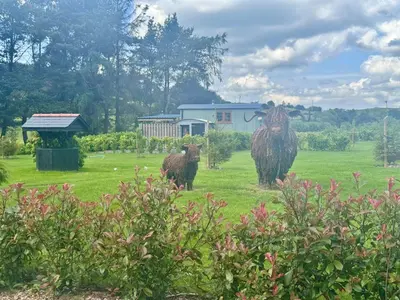 two cows are standing in a field of grass at 2 Bed in Rhayader oc-90276 in Saint Harmon