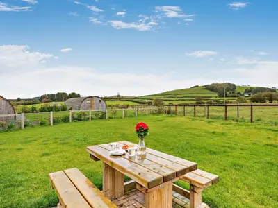 a picnic table with flowers on top of a field at 1 Bed in Rhayader oc-90277 in Saint Harmon