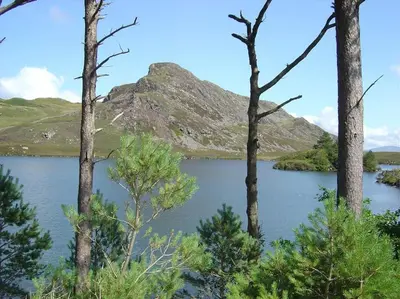 a view of a lake with trees in the foreground at Cosy modern cottage by the sea, heart of snowdonia in Llwyngwril