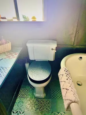 a bathroom with a toilet and a bath tub at Little Libertys in Shrewsbury