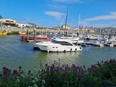 a group of boats docked in a marina with purple flowers at Spacious Luxury Escape with Sea Views and Pet Friendly at Clarach Bay in Aberystwyth