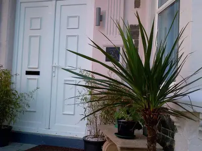 a potted plant sitting on a bench next to a door at Beach Front Apartment in Tywyn in Tywyn