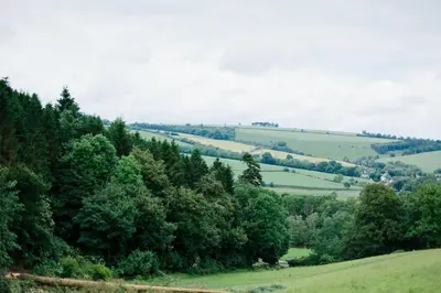 a view of a green hillside with trees at Garden House in North Lydbury