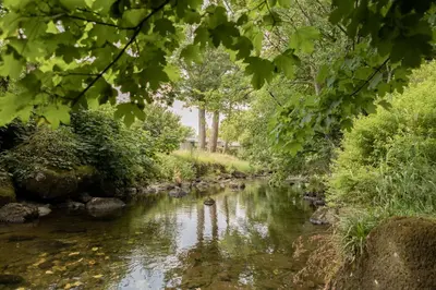 a river with trees and rocks in the foreground at Afonfa - Llanuwchllyn in Bala