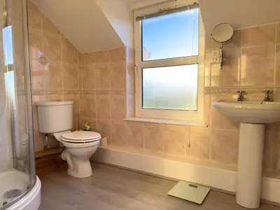 a bathroom with a toilet and a sink and a window at Crogal Farmhouse in New Quay